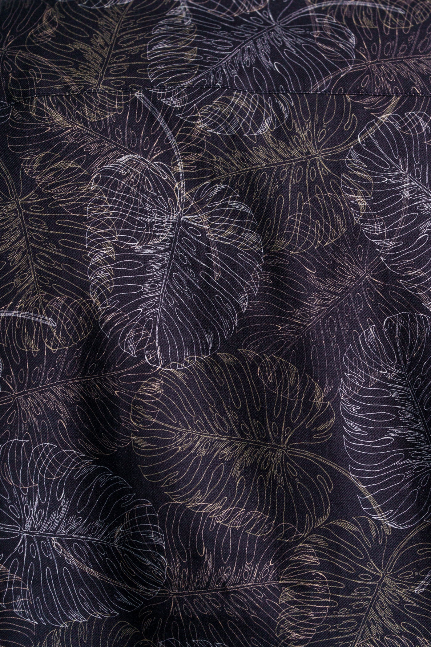 NOVA – Jungle Monstera